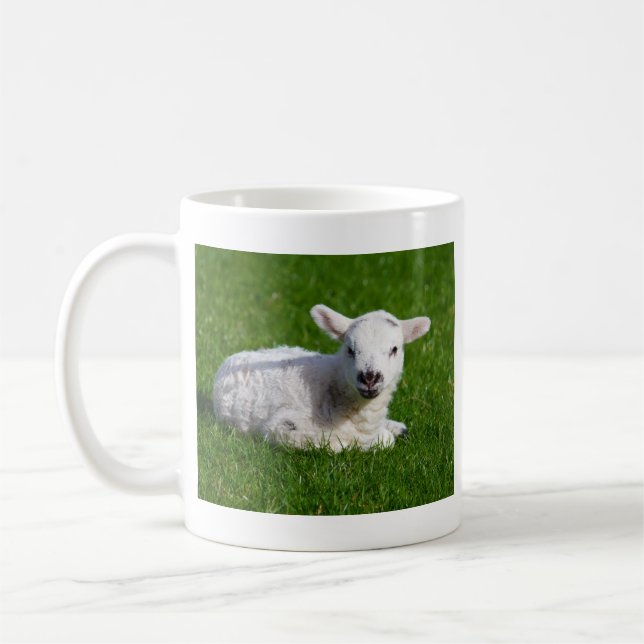 Mug Moutons mignons de bébé se situant dans l'herbe (Gauche)