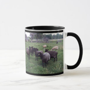 Mug Moutons noirs