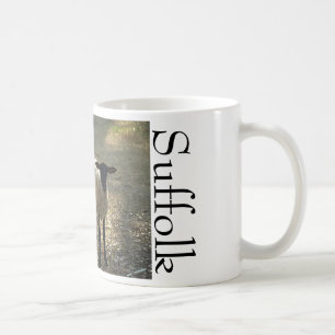 Mug Moutons Suffolk à la lumière du soleil