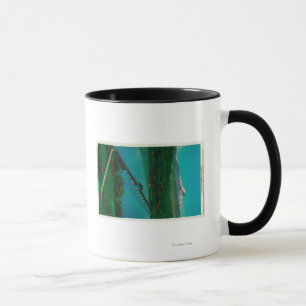 Mug Mt. Capot et pont d'un état à un autre en saumon