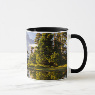 Mug Mt. Rainier se reflète dans un lac glaciaire près