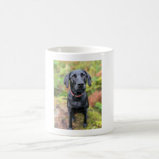 Mug Mug-Chien Personnalisé - Le cadeau de Dernière min