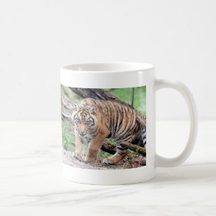 Mug Mug. tigre photo, chat.