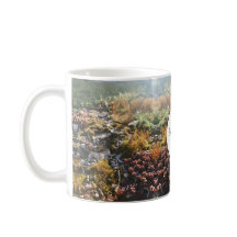 mugue monogramme de plantes alpines
