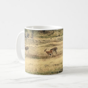 Mug Mule Deer in a Field, Joseph, Oregon