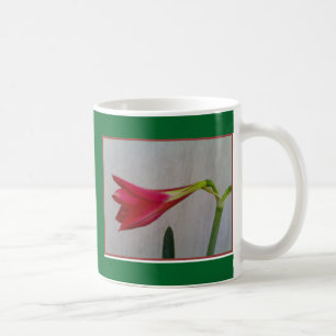 Mug muqueuse