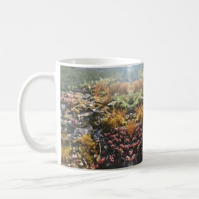 Mug muqueuse (Gauche)