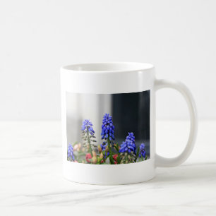 Mug muscaris à grappe