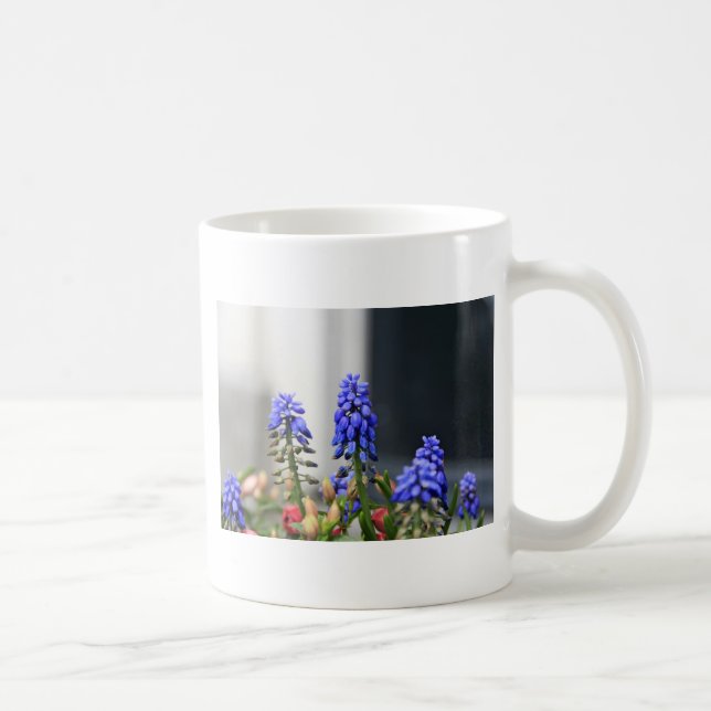 Mug muscaris à grappe (Droite)