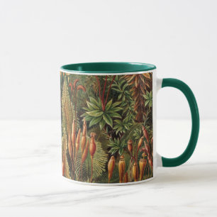 Mug Muscinae vintage, plantes de mousse par Ernst Haec