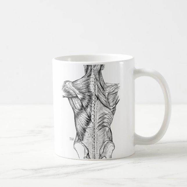Mug Muscles du dos d'art noir et blanc d'anatomie (Droite)