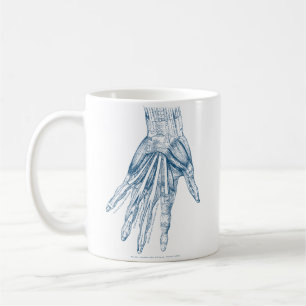 Mug Muscles vintages d'art d'anatomie du bleu de main