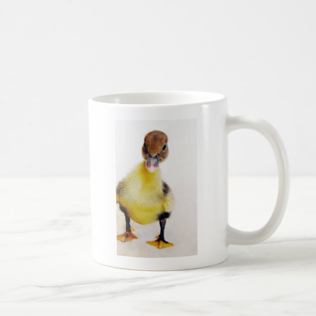 Mug Muscovy Duckling (Droite)