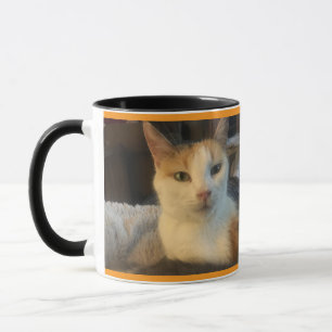 Mug Musique