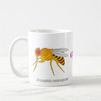 Mug Musique à mouche