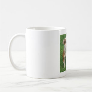 Mug Musique Bulldog