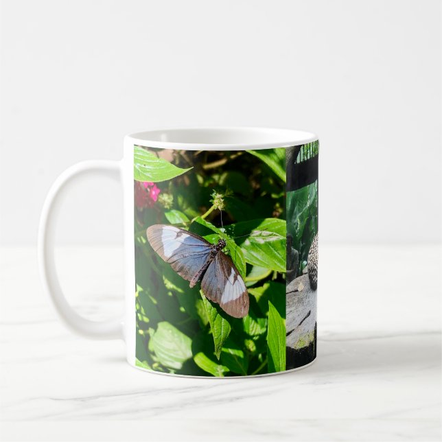 Mug Musique de cascade faunique du Costa Rica (Gauche)