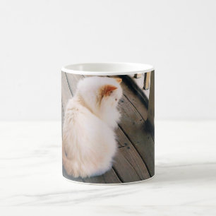 Mug Musique de chat persan