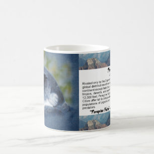 Mug Musique de faucon pèlerin