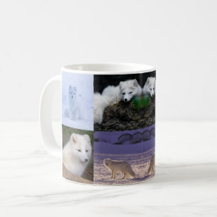 Mug Musique de Fox arctique