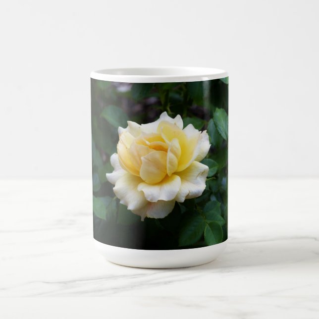 Mug Musique de rose blanche (Centre)