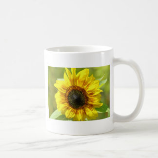Mug Musique de tournesol