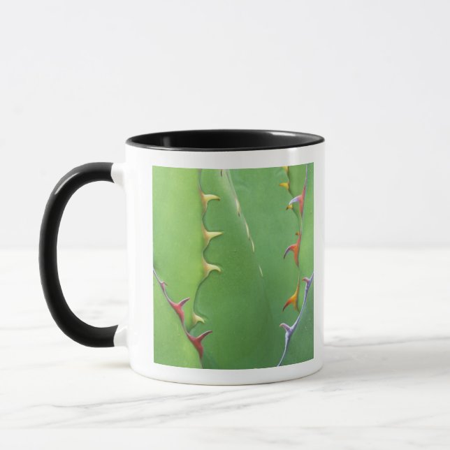Mug N.A., États-Unis, AZ, Phoenix, Desert Botanical 2 (Gauche)