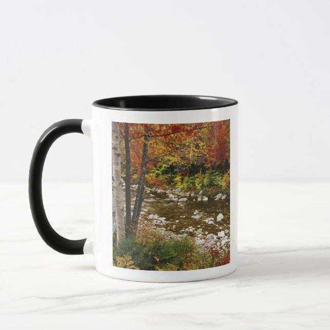 Mug N.A., États-Unis, New Hampshire, White Mountains, (Gauche)