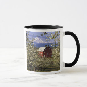 Mug N.A., États-Unis, Oregon, comté de Hood River. Rou