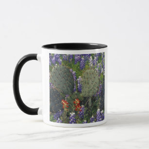 Mug N.A., États-Unis, Texas, Cactus entouré de