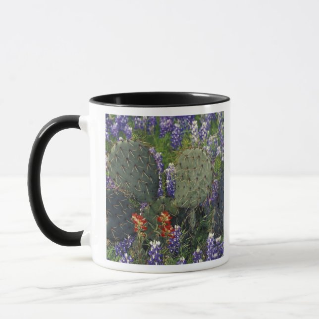Mug N.A., États-Unis, Texas, Cactus entouré de (Gauche)