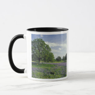 Mug N.A, États-Unis, Texas, lac Buchanan, chênes et bl