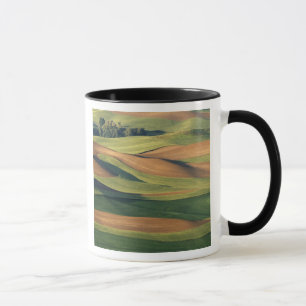 Mug N.A., États-Unis, Washington, comté de Whitman.