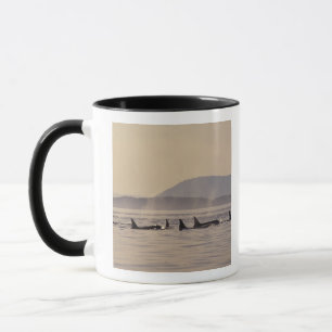 Mug N.A., États-Unis, Washington, Îles San Juan Orque
