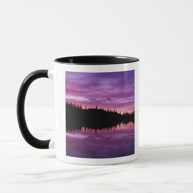 Mug N.A., États-Unis, Washington, Mt. Rainier National (Gauche)