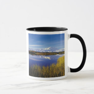 Mug NA, États-Unis, Alaska, Parc national Denali Mt. M
