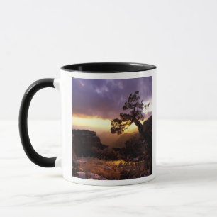 Mug NA, États-Unis, Arizona, Tucson, Coucher de soleil
