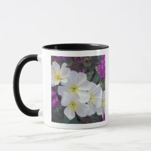 Mug NA, États-Unis, Californie, Anza Borrego Desert St