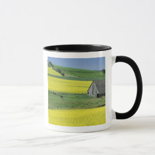 Mug NA, États-Unis, Idaho, près de Potlatch, Canola et