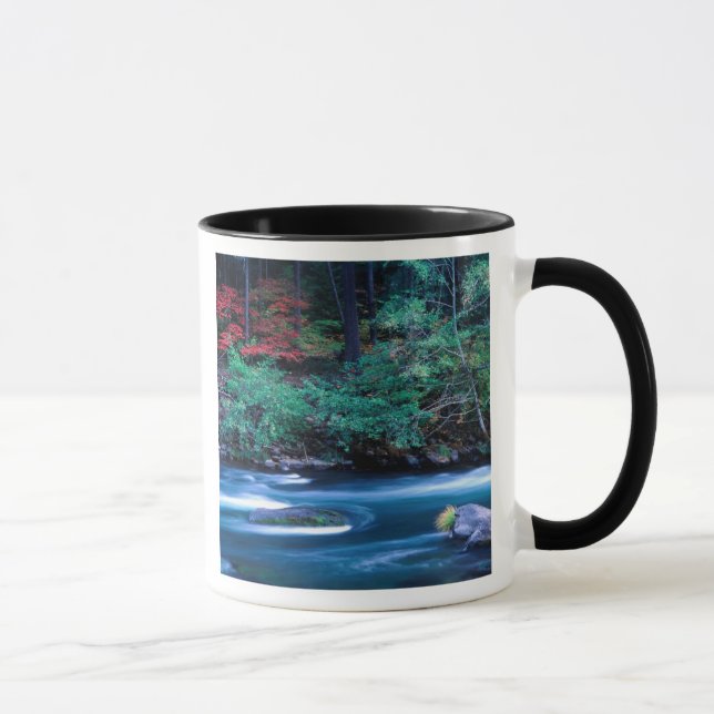 Mug NA, États-Unis, Oregon, Feuillage d'automne sur No (Droite)