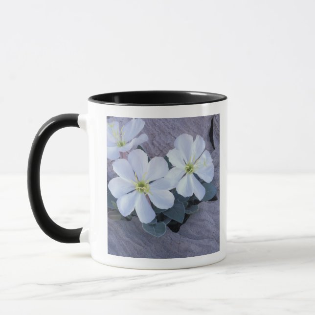 Mug NA, États-Unis, Utah, Parc national des Arches, On (Gauche)