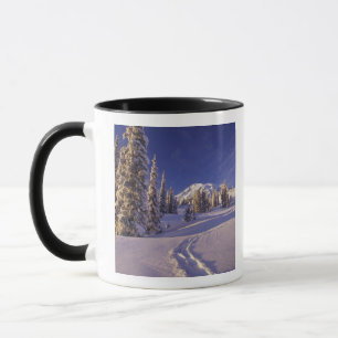 Mug NA, États-Unis, Washington, Mt. Rainier NP, raquet