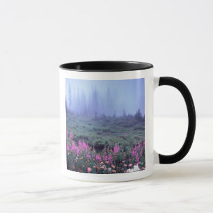 Mug NA, États-Unis, Washington, Prairie alpine brumeus