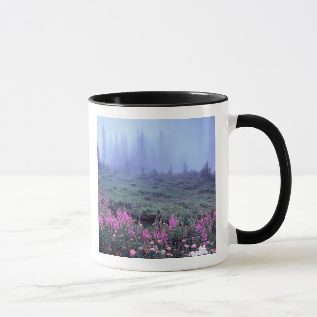 Mug NA, États-Unis, Washington, Prairie alpine brumeus (Droite)