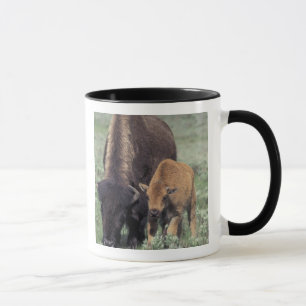 Mug NA, États-Unis, Wyoming, Parc national de Yellowst