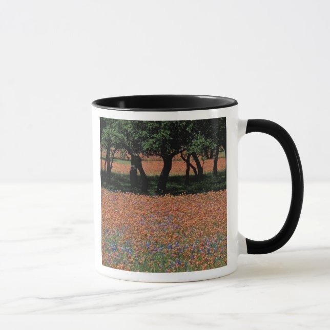 Mug NA, Texas, Texas Hill Country, barrage de Buchan, (Droite)
