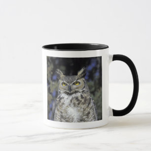 Mug NA, USA, Nouveau-Mexique, Wildlife West Nature Par