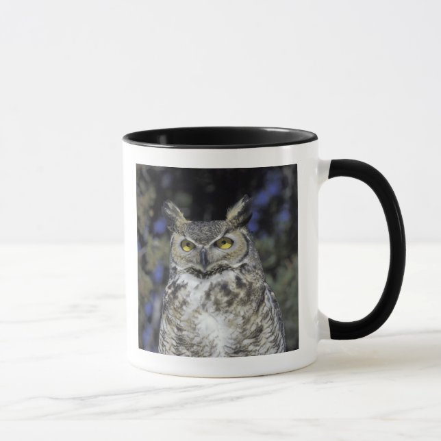 Mug NA, USA, Nouveau-Mexique, Wildlife West Nature Par (Droite)