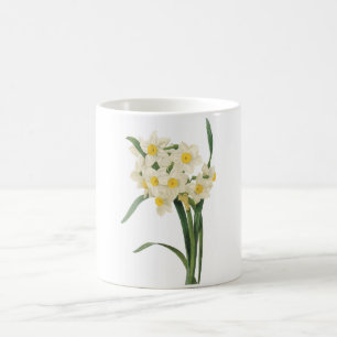 Mug narcisse (tazetta de narcisse) par Redouté