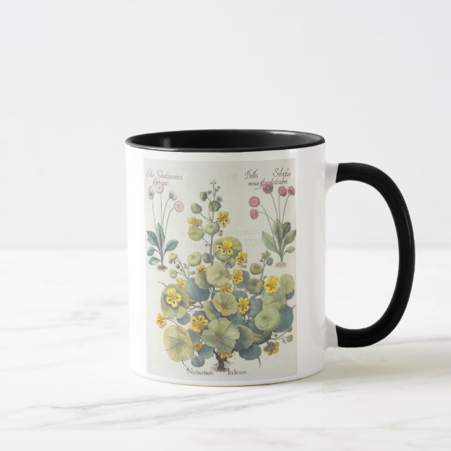 Mug Nasturces et marguerites : 1.Nasturtium Indicum ; (Droite)